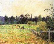 Camille Pissarro Cattle oil painting picture wholesale